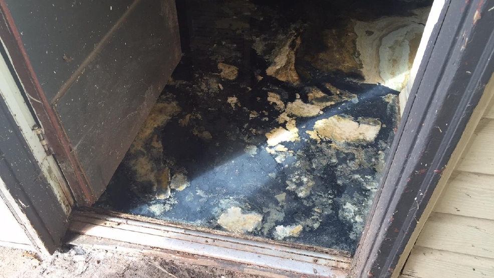 Apt sludge clean up begins after Fighting For You report