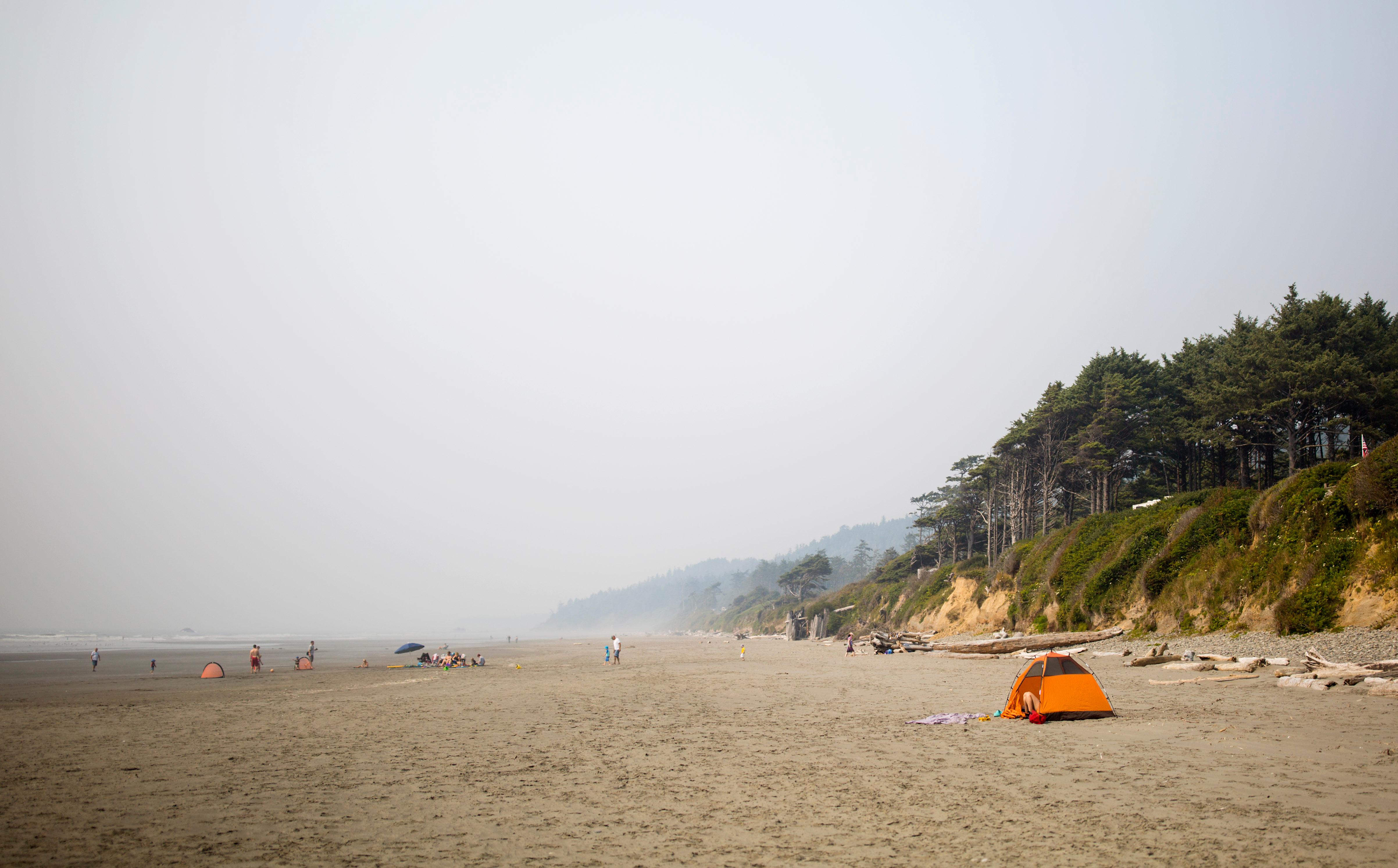 Photos The Tree of Life in Forks, WA is straight out of a storybook