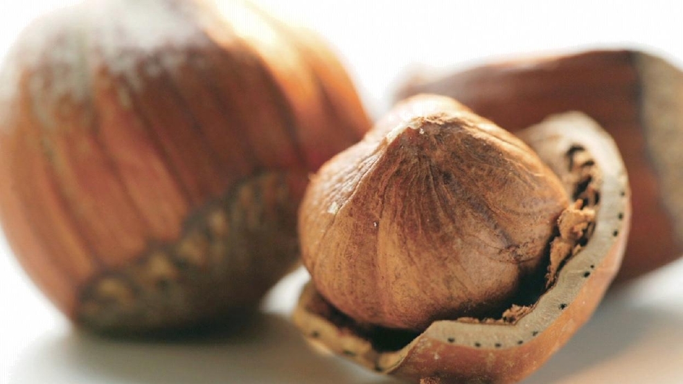 Hazelnut1.jpg