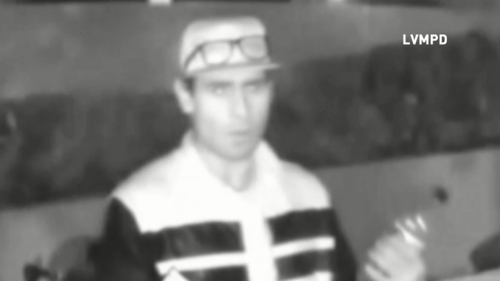 Police search for thief accused of stealing security cameras