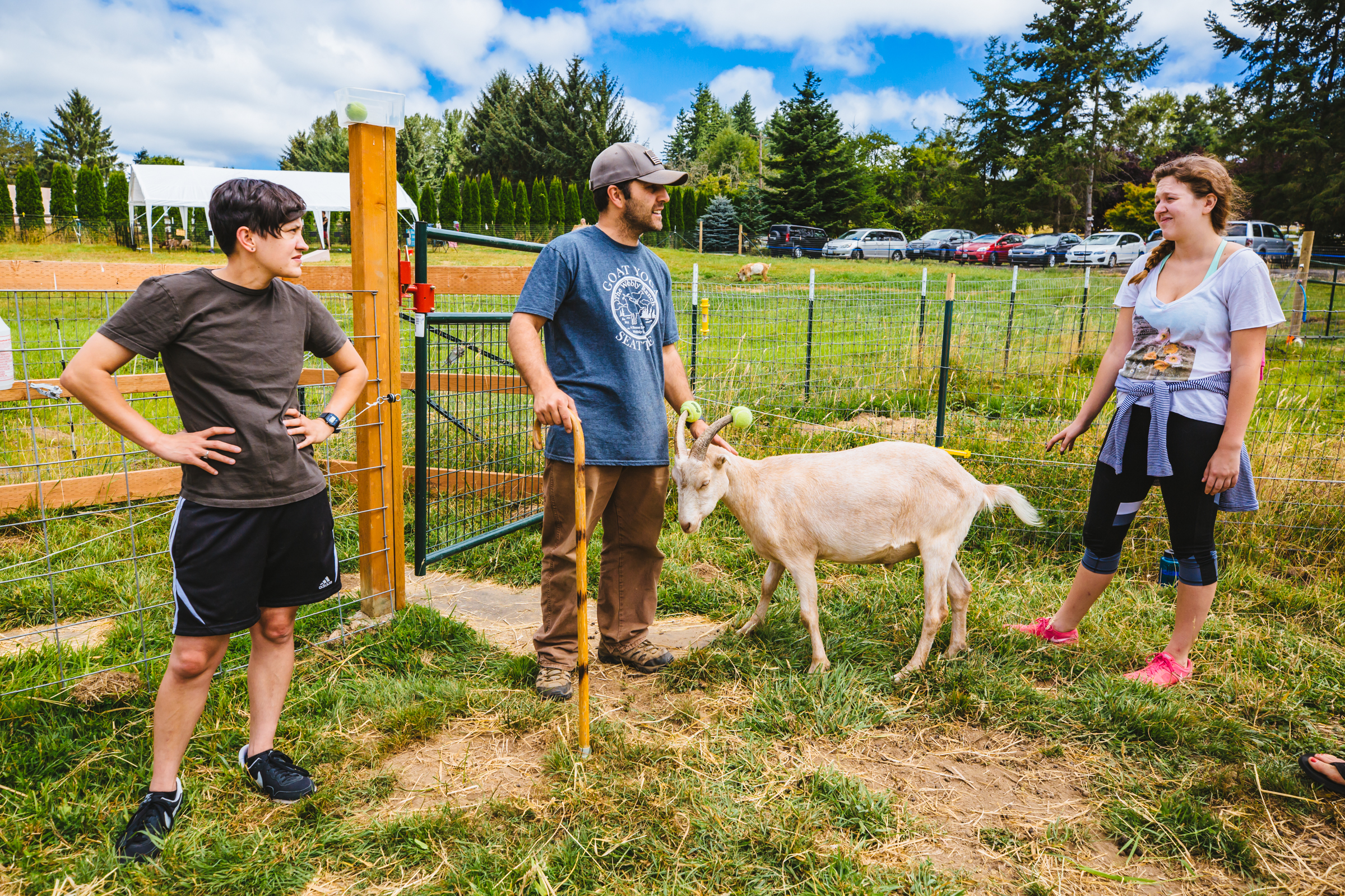 Photos Take a Goat Yoga class in Snohomish (all the kids are doing it