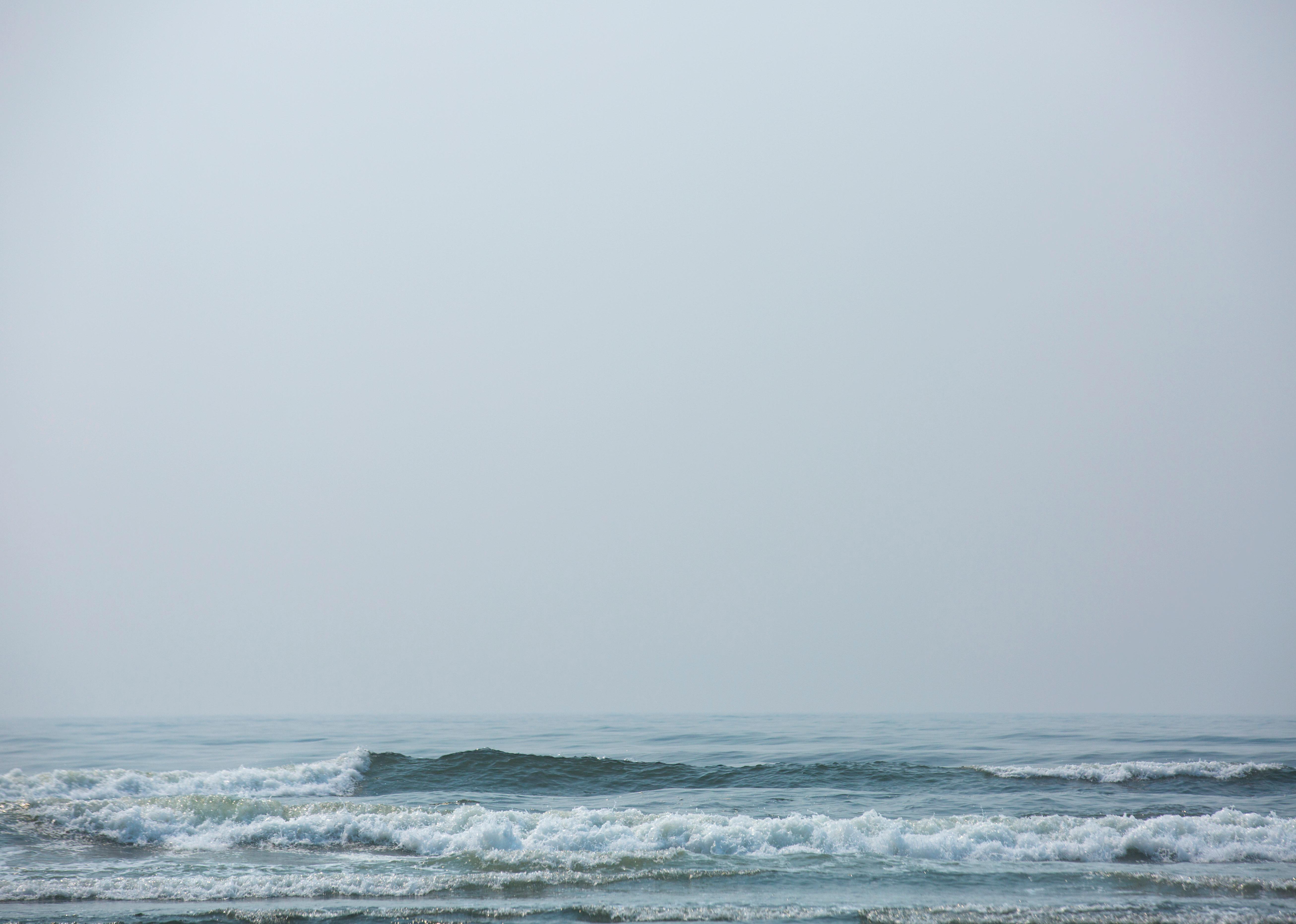 Photos The Tree of Life in Forks, WA is straight out of a storybook