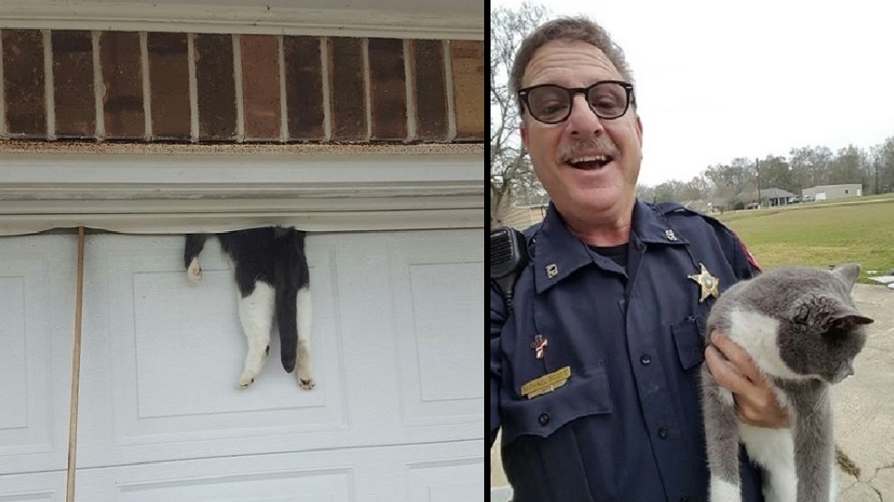 Deputy Rescues Cat After It Gets Stuck In Garage Door Wsyx Deputy Rescues Cat After It Gets Stuck In Garage Door
