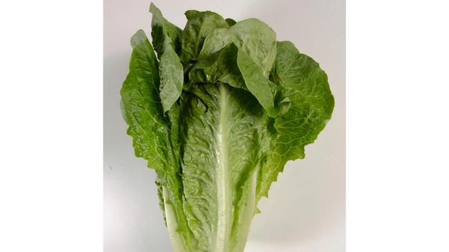 1st death reported in romaine lettuce E. coli outbreak