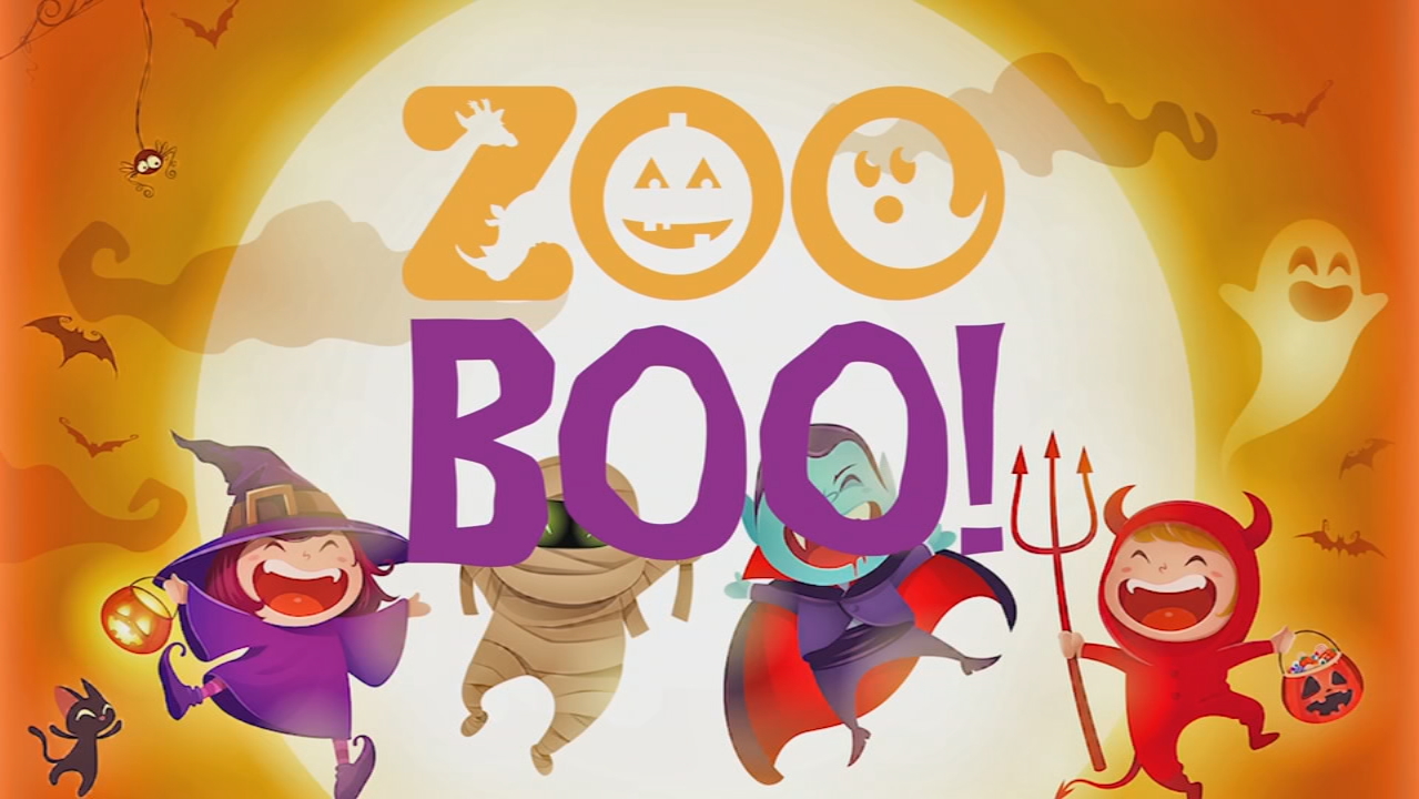 Zoo Boo! at the San Antonio Zoo Watch Daytime