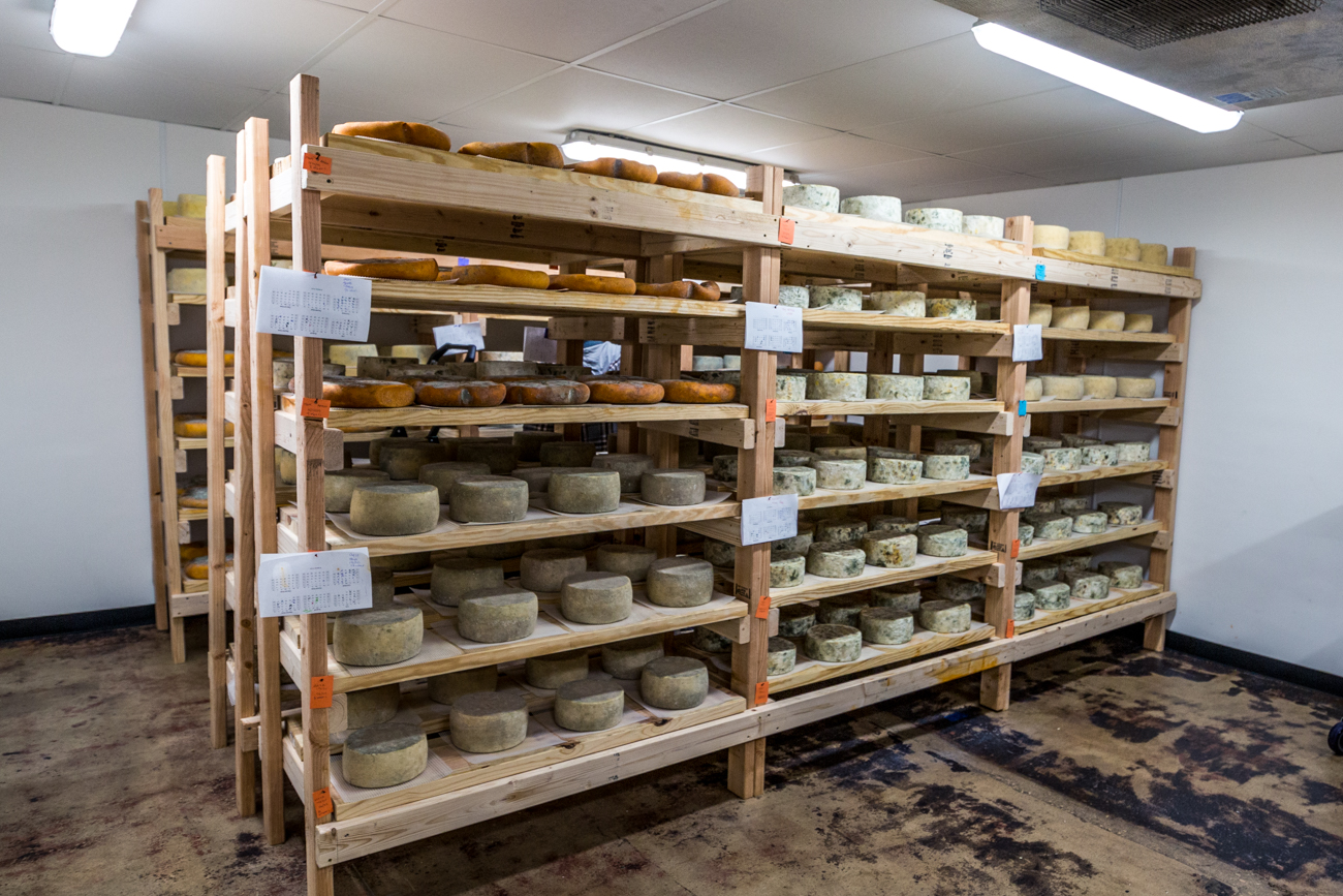 Lebanon's Lamp Post Cheese Presses, Ages, and Sells Delicious Artisanal