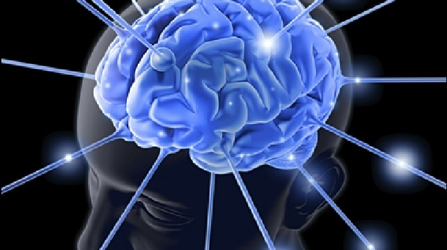 Can 'brain training' programs deliver on their claims