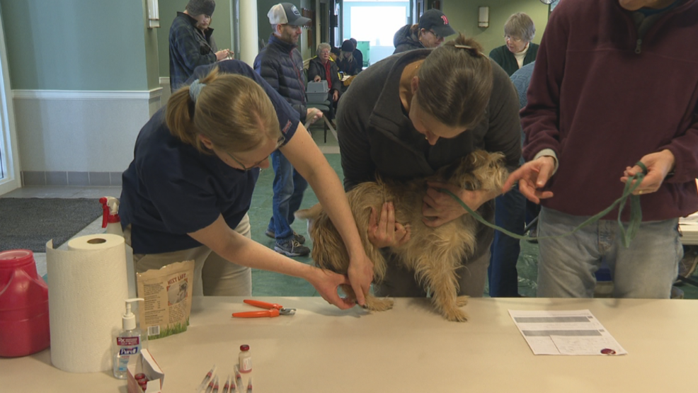Vaccine clinic aims to reduce Maine's rabies problem WGME