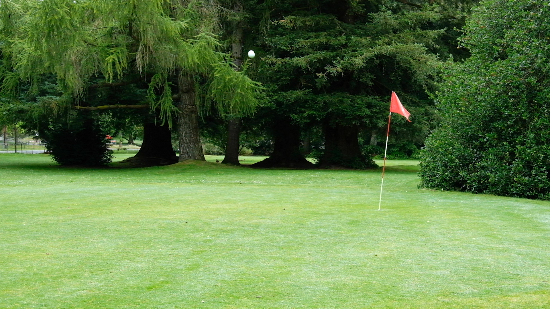 Affordable Green Lake course offers 'No Contact Golf' Seattle Refined