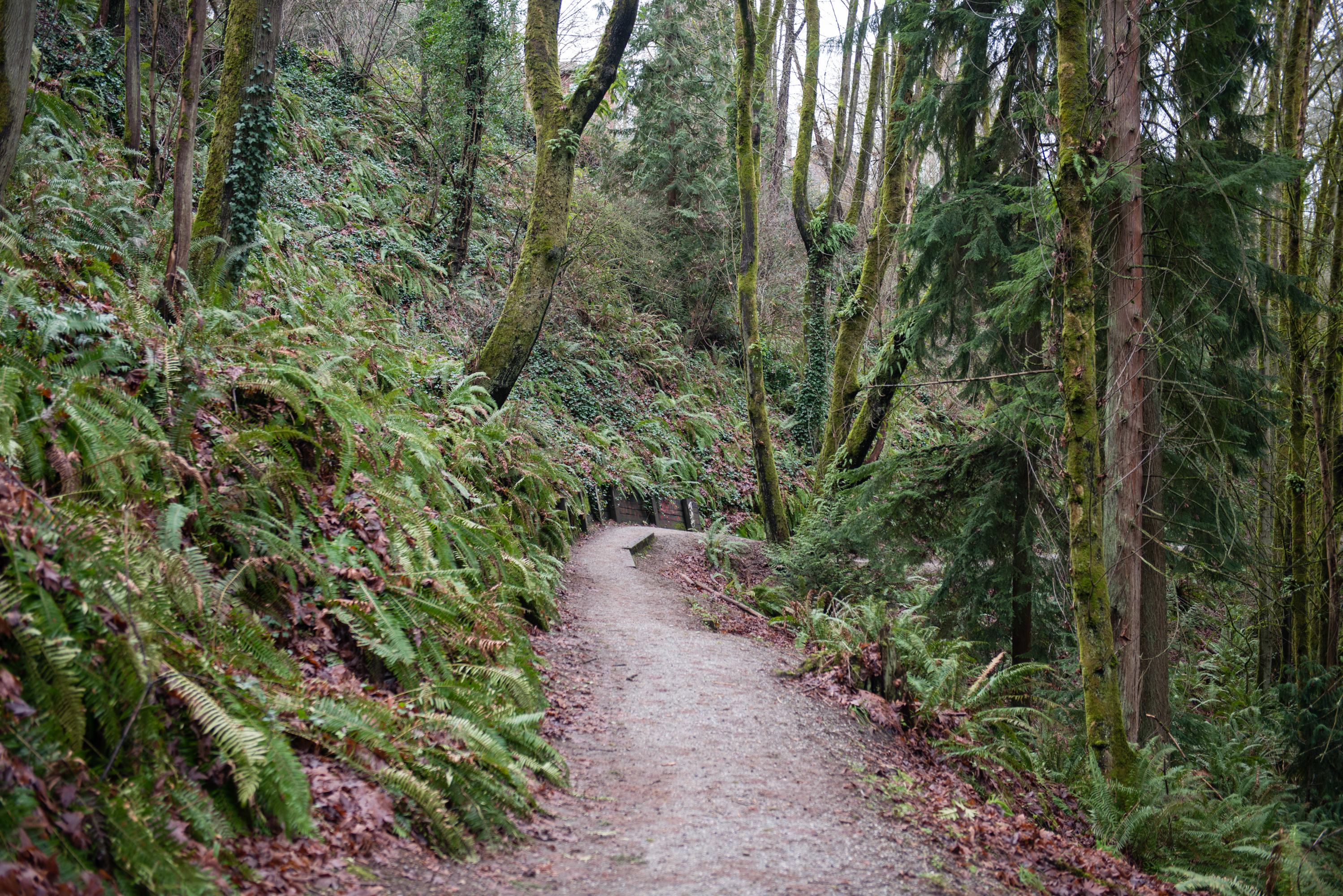 A guide to hanging in Ravenna Seattle Refined