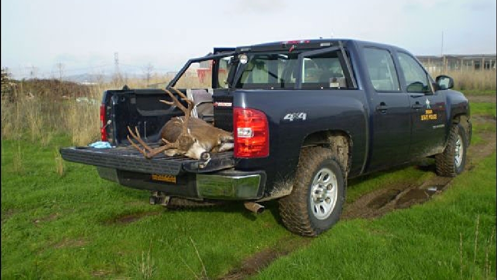 120812_Trail_deer_poaching640.jpg