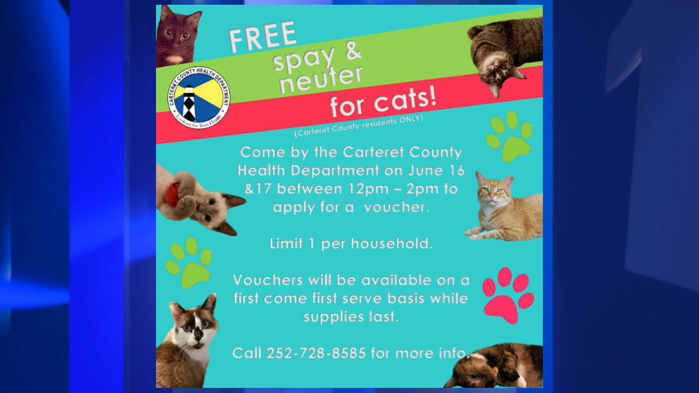 Spay and neuter vouchers available to Carteret Co. cat owners WCTI