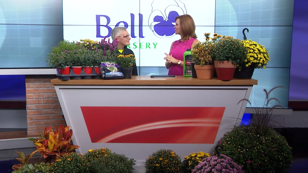 Tips to give you a green thumb this fall from Bell Nursery