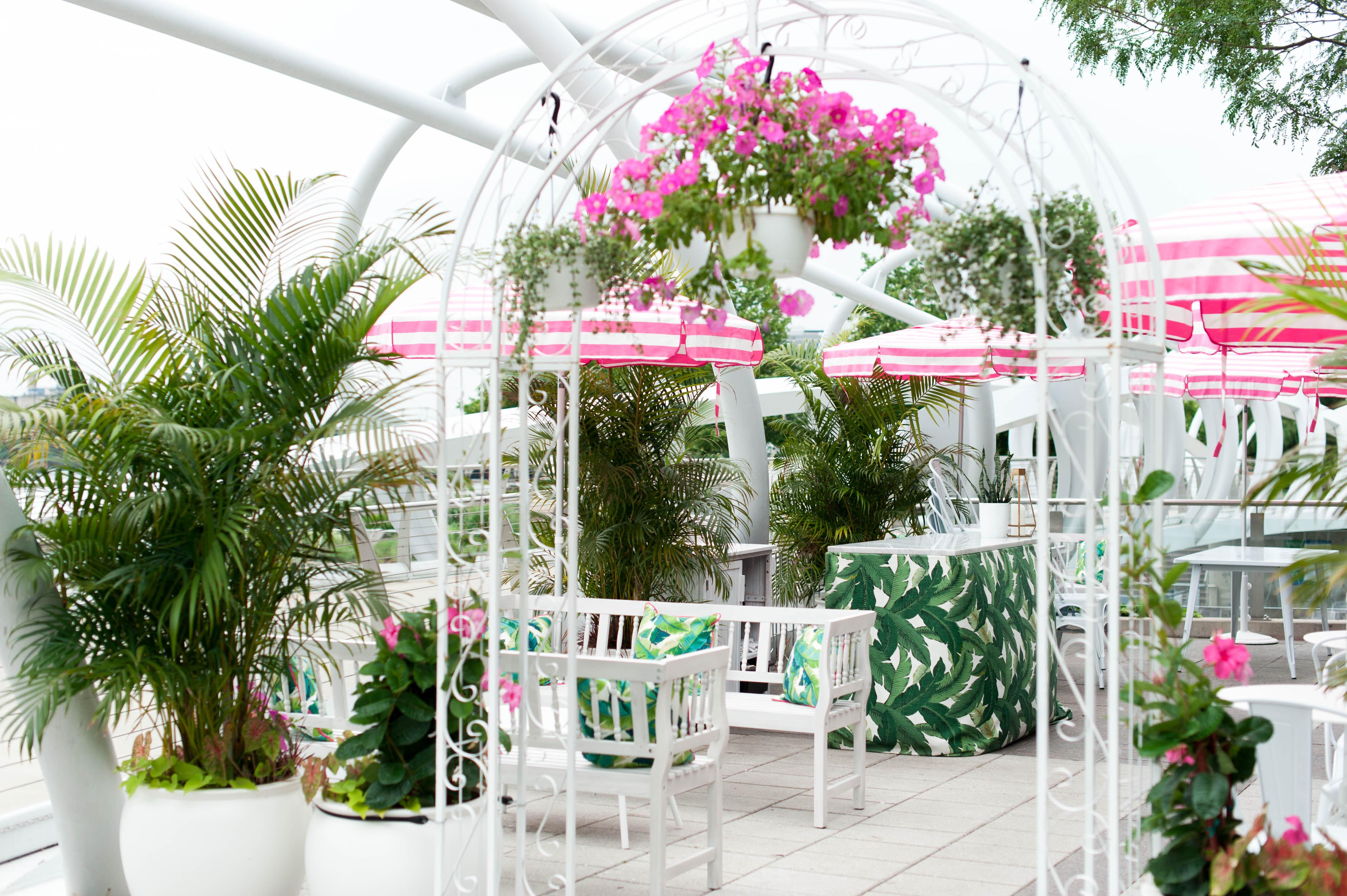 whaley's new rosé garden is the spot to #drinkpink all season long whaley's new rosé garden is the spot to #drinkpink all season long