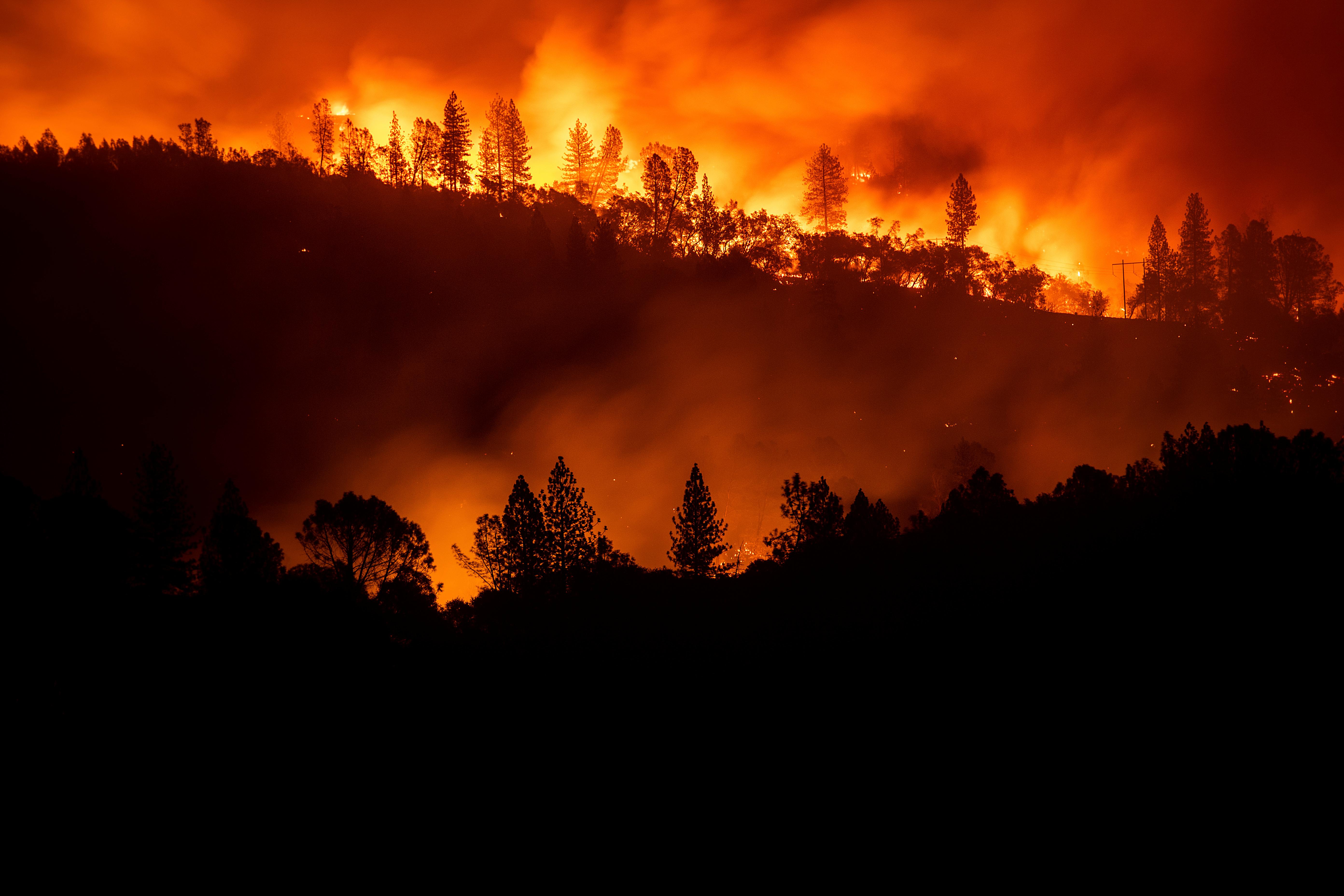 the camp fire burns along a ridgetop near big bend, calif.