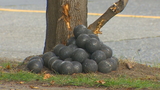 Truck driver faces $136 fine after metal balls spill on West Seattle street