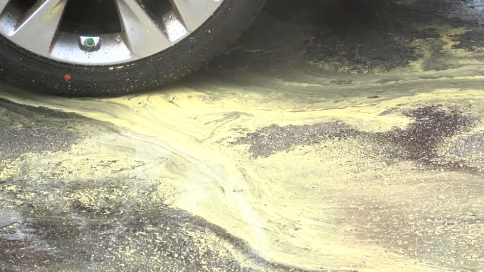 Pollen Problems How to keep your car clean WPDE