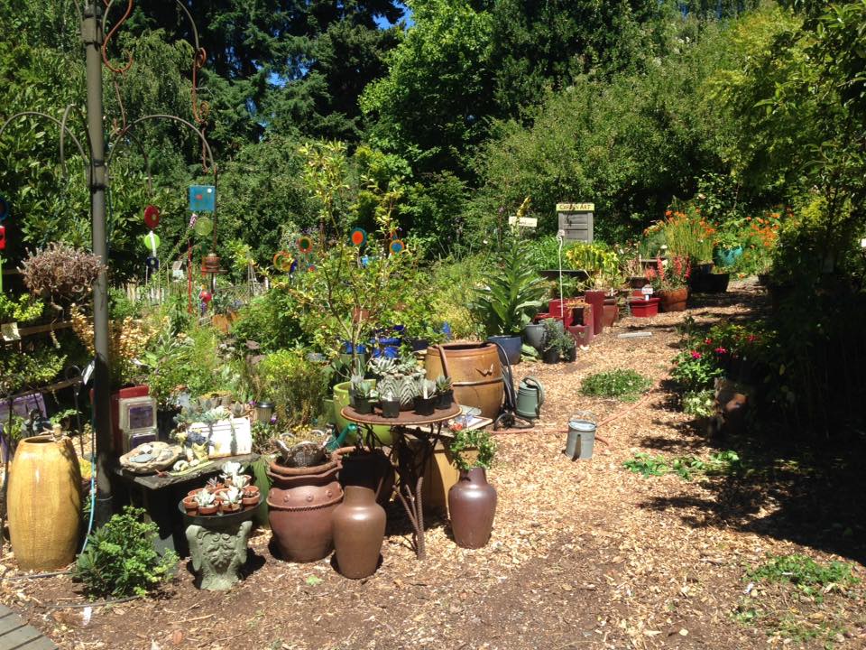 Seattle's Best Plant Nurseries Seattle Refined